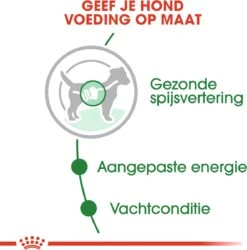 Royal Canin Shn Mini Adult Pouch - Hondenvoer - 12 X 85 G -Exporteren Alles Voor Honden Winkel 1186x1200 6