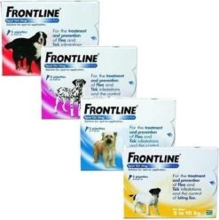 Frontline Hond Spot-On Small - 6 Pipetten -Exporteren Alles Voor Honden Winkel 1194x1200 13