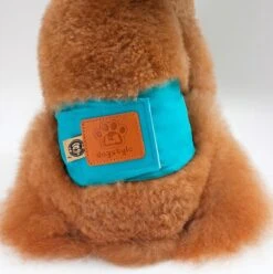 Merkloos Hondenluier Voor Kleine Hond - Luier Voor Reu - Buikband Maat S 27 Cm X 25 Cm 9 Merkloos Hondenluier Voor Kleine Hond - Luier Voor Reu - Buikband Maat S 27 Cm X 25 Cm -Exporteren Alles Voor Honden Winkel 1194x1200 6