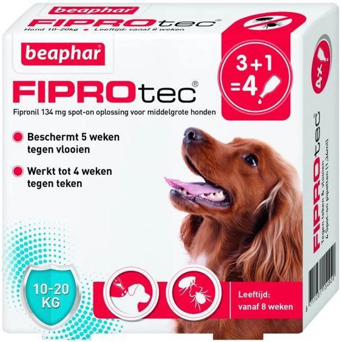 Beaphar Fiprotec Vlooien- En Tekenmiddel Hond 10-20 Kg - 4 Pipetten 14 Beaphar Fiprotec Vlooien- En Tekenmiddel Hond 10-20 Kg - 4 Pipetten - Afbeelding 12