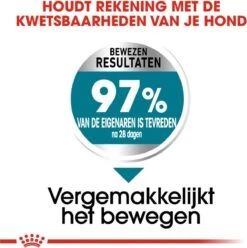 Royal Canin Ccn Joint Care Maxi - Hondenvoer - 10 Kg -Exporteren Alles Voor Honden Winkel 1196x1200 2