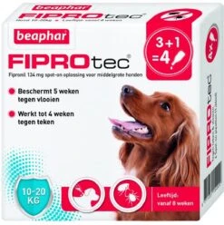 Beaphar Fiprotec Vlooien- En Tekenmiddel Hond 10-20 Kg - 4 Pipetten 32 Beaphar Fiprotec Vlooien- En Tekenmiddel Hond 10-20 Kg - 4 Pipetten -Exporteren Alles Voor Honden Winkel 1197x1200 11