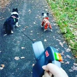 Wigzi Dual Doggie 2.0 Voor Twee Honden - Hondenriem - Grijs - 3m - <22 Kg (per Hond) -Exporteren Alles Voor Honden Winkel 1198x1200 18