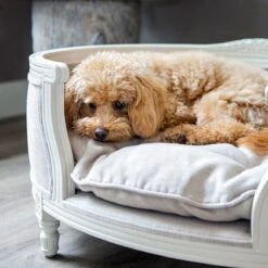 Lord Lou - George Roze Velvet S - Luxe Hondenmand - Luxe Kattenmand - 49x40x31 17 Lord Lou - George Roze Velvet S - Luxe Hondenmand - Luxe Kattenmand - 49x40x31 -Exporteren Alles Voor Honden Winkel 1198x1200 21