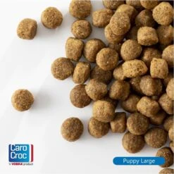 Carocroc Premium Puppy Large 25/17 15 Kg + Gratis Rocco Sticks