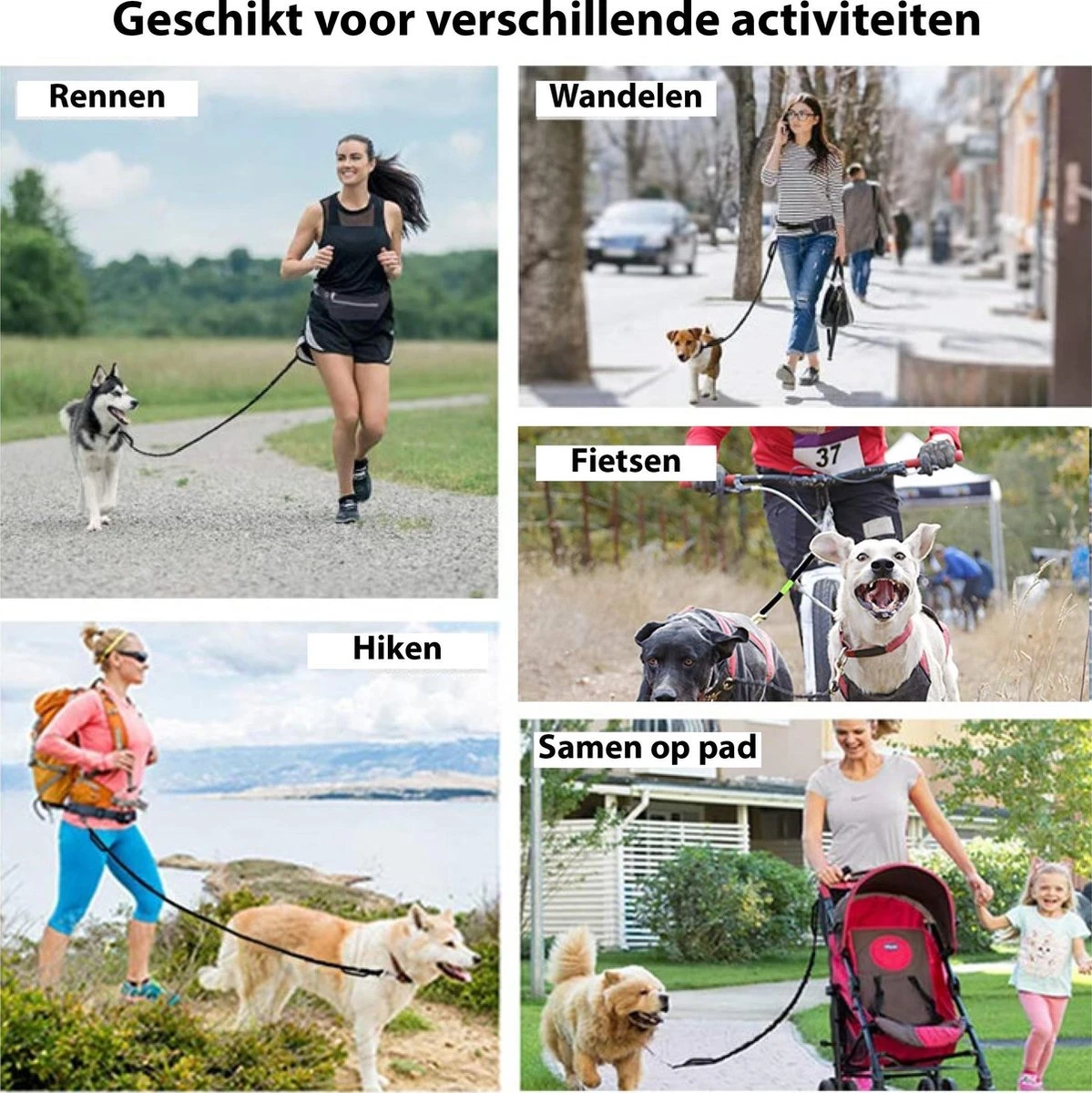 Filo Elastische Hondenriem Groot - Hardlopen En Wandelen - Hardloopriem Hond Handsfree Met Heuptasje - Looplijn Met Heupriem - Canicross Gordel Honden - Riemen - Heupgordel - Leiband 9 Filo Elastische Hondenriem Groot - Hardlopen En Wandelen - Hardloopriem Hond Handsfree Met Heuptasje - Looplijn Met Heupriem - Canicross Gordel Honden - Riemen - Heupgordel - Leiband - Afbeelding 7