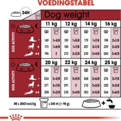 Royal Canin Medium Adult 15 KG -Exporteren Alles Voor Honden Winkel 1199x1200 2