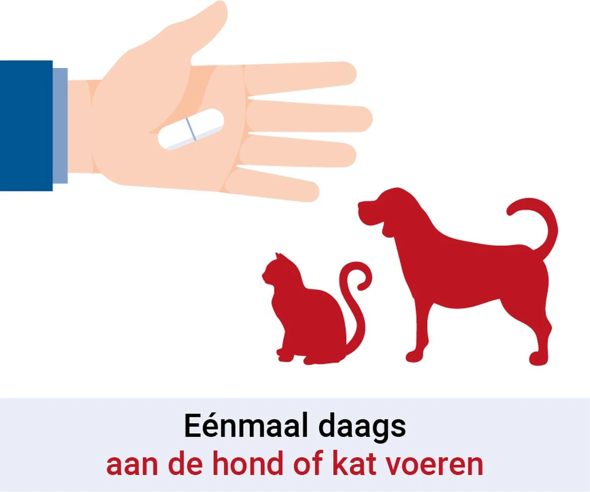 Pharmox Hond & Kat Groenlipmossel 60 Capsules 8 Pharmox Hond & Kat Groenlipmossel 60 Capsules - Afbeelding 6