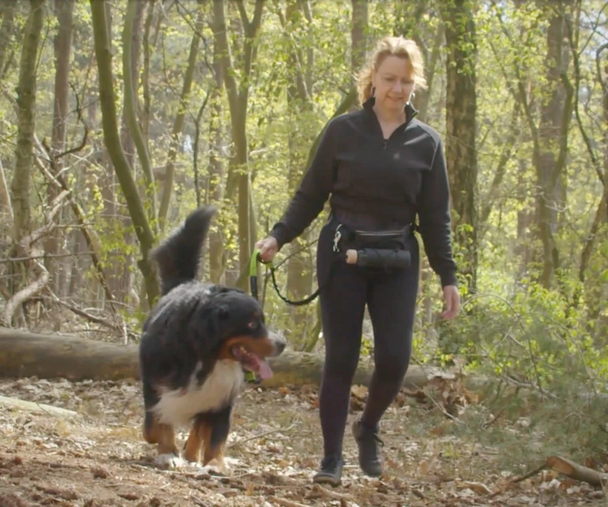 Canicross Looplijn Hond Met Heupriem Voor Hardlopen - Elastische Handsfree Hondenriem - Honden Trainingslijn - 150/200cm - Groen 4 Canicross Looplijn Hond Met Heupriem Voor Hardlopen - Elastische Handsfree Hondenriem - Honden Trainingslijn - 150/200cm - Groen - Afbeelding 2