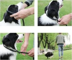 LOUZIR Cesar Millan Sliplijn Met Stop - Hondenriem - Rood - 130 Cm 22 LOUZIR Cesar Millan Sliplijn Met Stop - Hondenriem - Rood - 130 Cm -Exporteren Alles Voor Honden Winkel 1200x1003 1