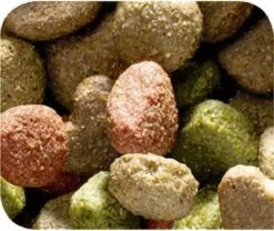 VERSELE-LAGA Happy Life Adult Lam Digestion - Hondenvoer - 15 Kg 11 VERSELE-LAGA Happy Life Adult Lam Digestion - Hondenvoer - 15 Kg -Exporteren Alles Voor Honden Winkel 1200x1010 2