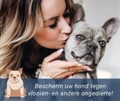 Teken- En Vlooienband Hond - Grote & Kleine Hond - Anti Vlooien - 8 Maanden Bescherming -Exporteren Alles Voor Honden Winkel 1200x1016 3