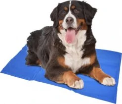 Duvo+ Koelmat - Blauw - XXL