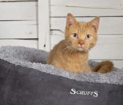 Scruffs Cosy Kattenmand - Comfortabel En Voordelig Met Zachte Binnenvoering En Imitatie Suède Buitenvoering - 3 Kleuren - Ø 45 Cm - Karamel -Exporteren Alles Voor Honden Winkel 1200x1024 1