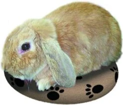 Snugglesafe Warmteschijf Hond/Kat - 24 Cm -Exporteren Alles Voor Honden Winkel 1200x1026 5