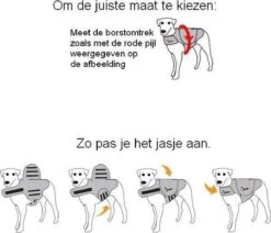 Thundershirt Antistress Vest - Dieren Antistressmiddel - Hond - Grijs - S - 43-53 Cm 19 Thundershirt Antistress Vest - Dieren Antistressmiddel - Hond - Grijs - S - 43-53 Cm -Exporteren Alles Voor Honden Winkel 1200x1031 1