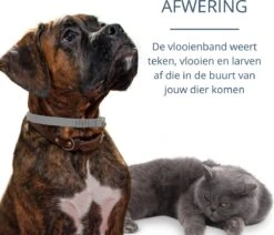 Merkloos Vlooienband Hond - 8 Maanden Bescherming - Vlooienband - Natuurlijk - Tekenband - Anti Vlooien - 63cm - Fit All Sizes - Vlooienbandjes Hond - Vlooien - Teken 15 Merkloos Vlooienband Hond - 8 Maanden Bescherming - Vlooienband - Natuurlijk - Tekenband - Anti Vlooien - 63cm - Fit All Sizes - Vlooienbandjes Hond - Vlooien - Teken -Exporteren Alles Voor Honden Winkel 1200x1032 6