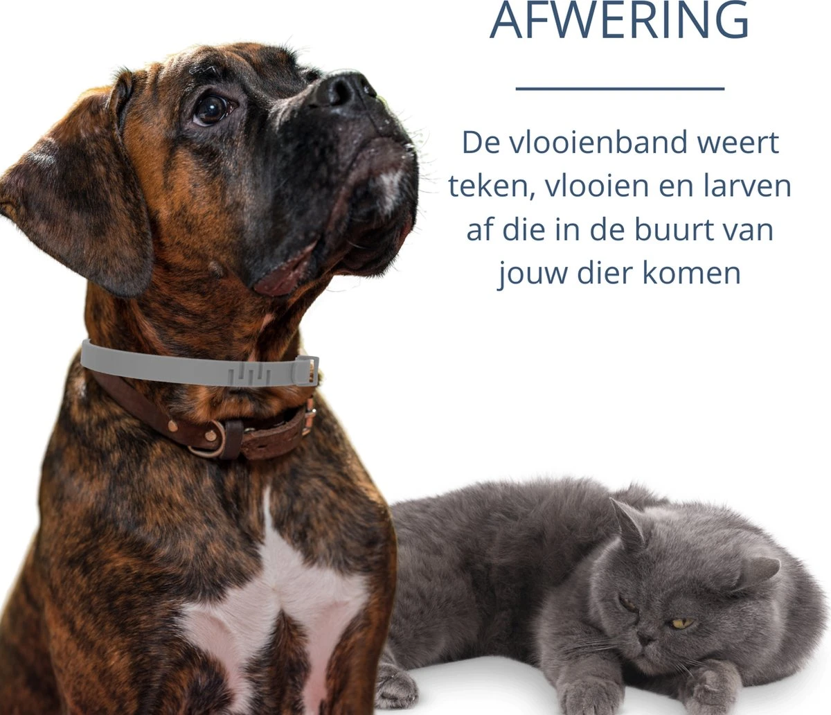 Merkloos Vlooienband Hond - 8 Maanden Bescherming - Vlooienband - Natuurlijk - Tekenband - Anti Vlooien - 63cm - Fit All Sizes - Vlooienbandjes Hond - Vlooien - Teken 7 Merkloos Vlooienband Hond - 8 Maanden Bescherming - Vlooienband - Natuurlijk - Tekenband - Anti Vlooien - 63cm - Fit All Sizes - Vlooienbandjes Hond - Vlooien - Teken - Afbeelding 5