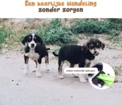 Dubbele Honden Riem – Leiband Hond – Hondenlijn – Looplijn Hond – 2 Honden – 3 Meter – Tot 12kg Per Hond – Reflecterende Lijnen – Met Zaklamp – 360° Draaien – Verstelbaar - Navy Blauw -Exporteren Alles Voor Honden Winkel 1200x1035 2