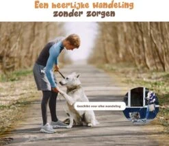 Hardloopriem Hond – Honden Riem Handsfree – Hardlopen Met Hond – 160-260 Cm Blauw - Hardloopband Hond – Halsband Hond – Hondenlijn – Leiband Hond 16 Hardloopriem Hond – Honden Riem Handsfree – Hardlopen Met Hond – 160-260 Cm Blauw - Hardloopband Hond – Halsband Hond – Hondenlijn – Leiband Hond -Exporteren Alles Voor Honden Winkel 1200x1035 3