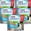 Dentalife Daily Oral Care Maxi Pack - Hondensnack M - 75 Stuks -Exporteren Alles Voor Honden Winkel 1200x1036 1