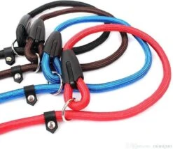 Merkloos Nylon Trainingslijn Voor Honden - Hondenriem - Blauw - Tot 5 Kg -Exporteren Alles Voor Honden Winkel 1200x1038 1