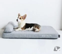 PETKIT® Deep Sleep Bed - Hondenmand - Kattenmand - Memory Foam - Orthopedisch - Maat M 15 PETKIT® Deep Sleep Bed - Hondenmand - Kattenmand - Memory Foam - Orthopedisch - Maat M -Exporteren Alles Voor Honden Winkel 1200x1039 2