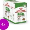 Royal Canin Shn Mini Adult Pouch - Hondenvoer - 4 X 12 X 85 G 2 Royal Canin Shn Mini Adult Pouch - Hondenvoer - 4 X 12 X 85 G -Exporteren Alles Voor Honden Winkel 1200x1042 2