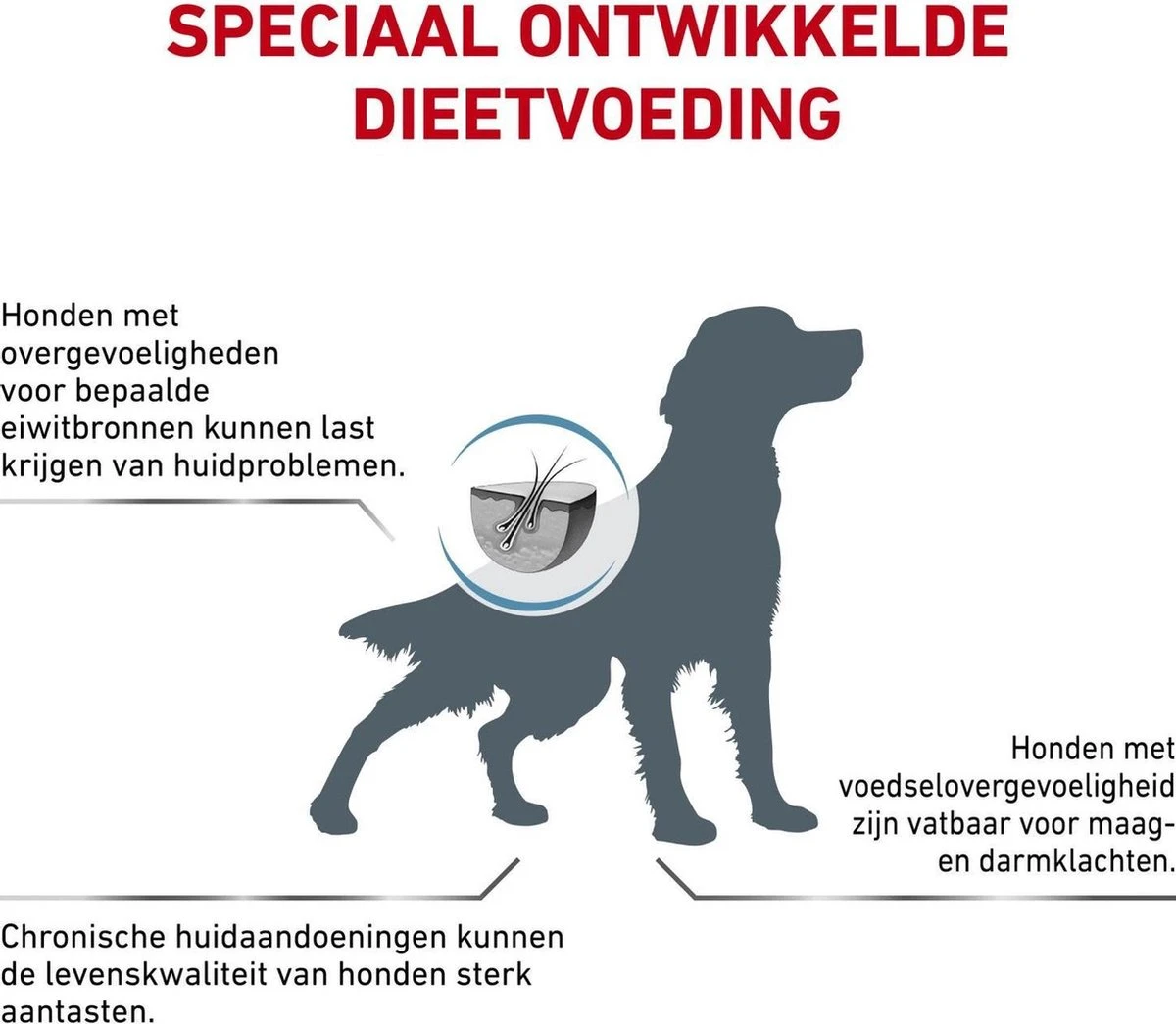 Royal Canin Hypoallergenic - Hondenvoer - 2 Kg 6 Royal Canin Hypoallergenic - Hondenvoer - 2 Kg - Afbeelding 4