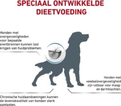 Royal Canin Hypoallergenic - Hondenvoer - 7 Kg -Exporteren Alles Voor Honden Winkel 1200x1045 2