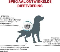 Royal Canin Anallergenic - Hondenvoer - 3 Kg -Exporteren Alles Voor Honden Winkel 1200x1045