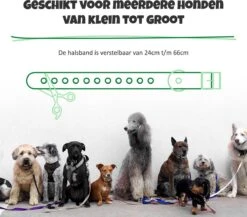 Anti Blafband Met Afstandsbediening - Blafband Voor Honden - Anti Blaf Apparaat Zonder Schok - Twee In Een Trainingshalsband -Exporteren Alles Voor Honden Winkel 1200x1055 2