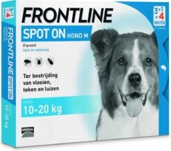 Frontline Spot-On M Anti Vlooienmiddel - Hond - 4 Pipetten -Exporteren Alles Voor Honden Winkel 1200x1063 8