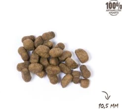 VITALstyle SPIEREN+GEWRICHTEN - Hondenbrokken - 12 Kg -Exporteren Alles Voor Honden Winkel 1200x1067