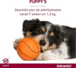 Bayer Advantix Vlooien & Teken Pipetten - Hond Tot 4Kg - 6 Stuks -Exporteren Alles Voor Honden Winkel 1200x1071 10