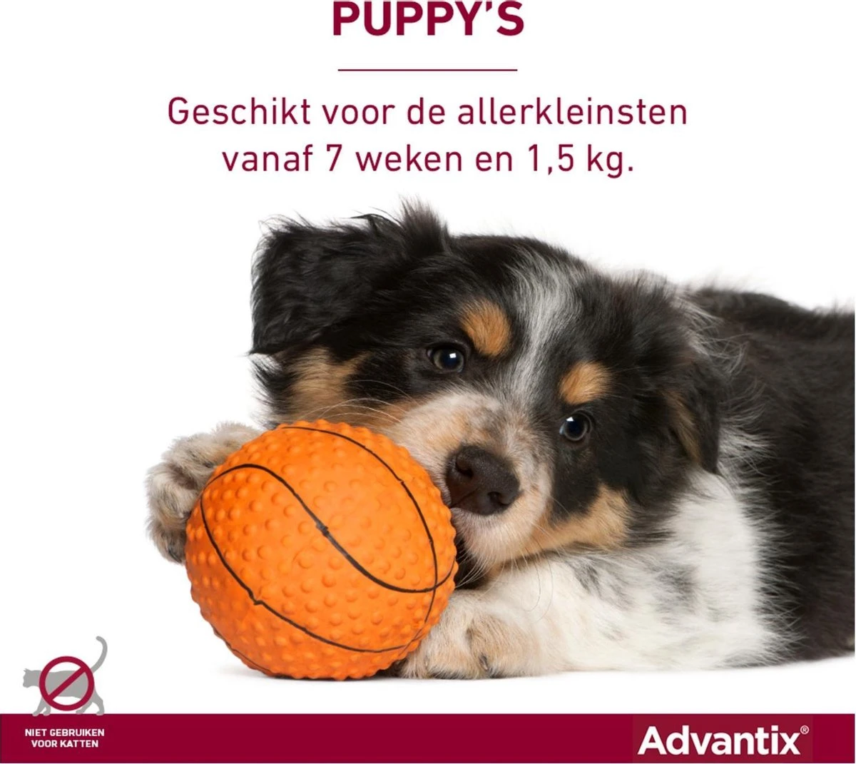 Bayer Advantix Spot On 40 Anti Vlooien En Teken Druppels Hond Tot 4 Kg 4 Pipetten 14 Bayer Advantix Spot On 40 Anti Vlooien En Teken Druppels Hond Tot 4 Kg 4 Pipetten - Afbeelding 12