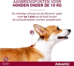 Bayer Advantix Vlooien & Teken Pipetten - Hond Tot 4Kg - 6 Stuks -Exporteren Alles Voor Honden Winkel 1200x1072 10