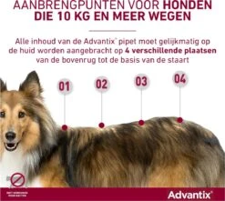 Bayer Advantix Vlooien & Teken Pipetten - Hond 10 Tot 25kg - 6 Stuks -Exporteren Alles Voor Honden Winkel 1200x1073 10