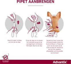 Bayer Advantix Vlooien & Teken Pipetten - Hond 25 Tot 40 Kg - 6 Stuks 28 Bayer Advantix Vlooien & Teken Pipetten - Hond 25 Tot 40 Kg - 6 Stuks -Exporteren Alles Voor Honden Winkel 1200x1073 13