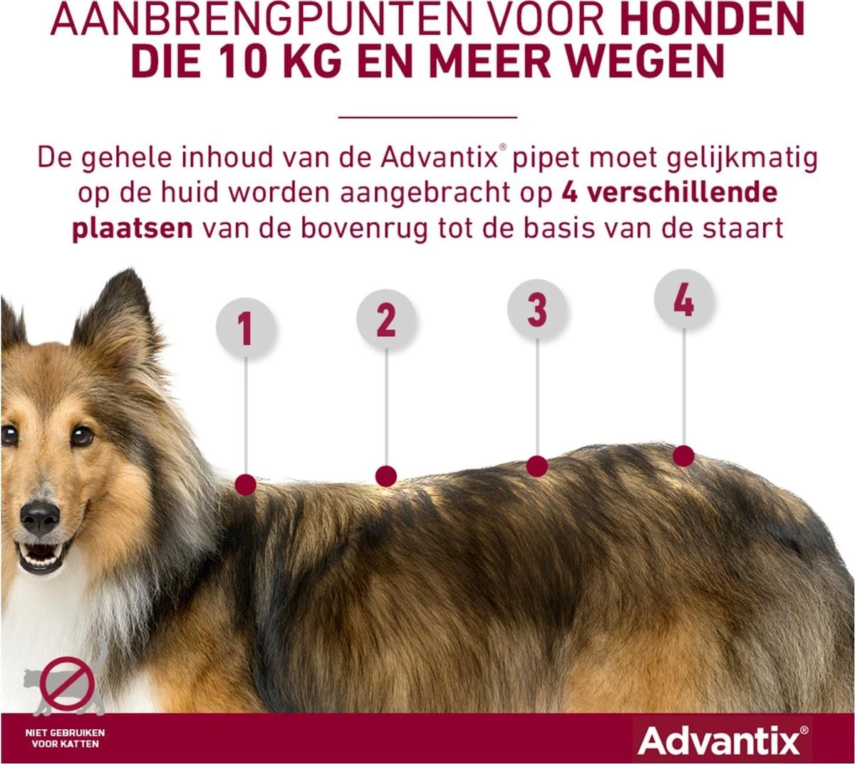 Bayer Advantix Vlooien & Teken Pipetten - Hond 25 Tot 40 Kg - 6 Stuks 16 Bayer Advantix Vlooien & Teken Pipetten - Hond 25 Tot 40 Kg - 6 Stuks - Afbeelding 14