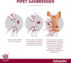 Bayer Advantix Spot On 40 Anti Vlooien En Teken Druppels Hond Tot 4 Kg 4 Pipetten 31 Bayer Advantix Spot On 40 Anti Vlooien En Teken Druppels Hond Tot 4 Kg 4 Pipetten -Exporteren Alles Voor Honden Winkel 1200x1073 7