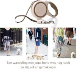Hondenriem - Leiband Hond - Rollijn - 5 Meter - Beige - Riem Met Oprolsysteem - Hondenriem Flexi - Hondenlijn - Uitlaatriem -Exporteren Alles Voor Honden Winkel 1200x1077 3
