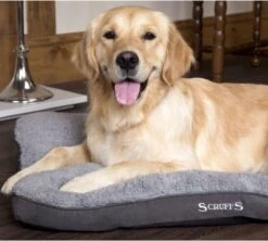 Scruffs Cosy - Comfortabel Hondenkussen In Grijs, Beige Of Karamel - Met Imitatie Suède Buitenvoering En Superzachte Binnenvoering - 100 X 70 Cm - Grijs 30 Scruffs Cosy - Comfortabel Hondenkussen In Grijs, Beige Of Karamel - Met Imitatie Suède Buitenvoering En Superzachte Binnenvoering - 100 X 70 Cm - Grijs -Exporteren Alles Voor Honden Winkel 1200x1080 3