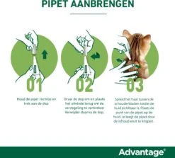 Bayer Advantage 250 Vlooiendruppels Hond 10-25 Kg - 4 Pipetten 14 Bayer Advantage 250 Vlooiendruppels Hond 10-25 Kg - 4 Pipetten -Exporteren Alles Voor Honden Winkel 1200x1083 12