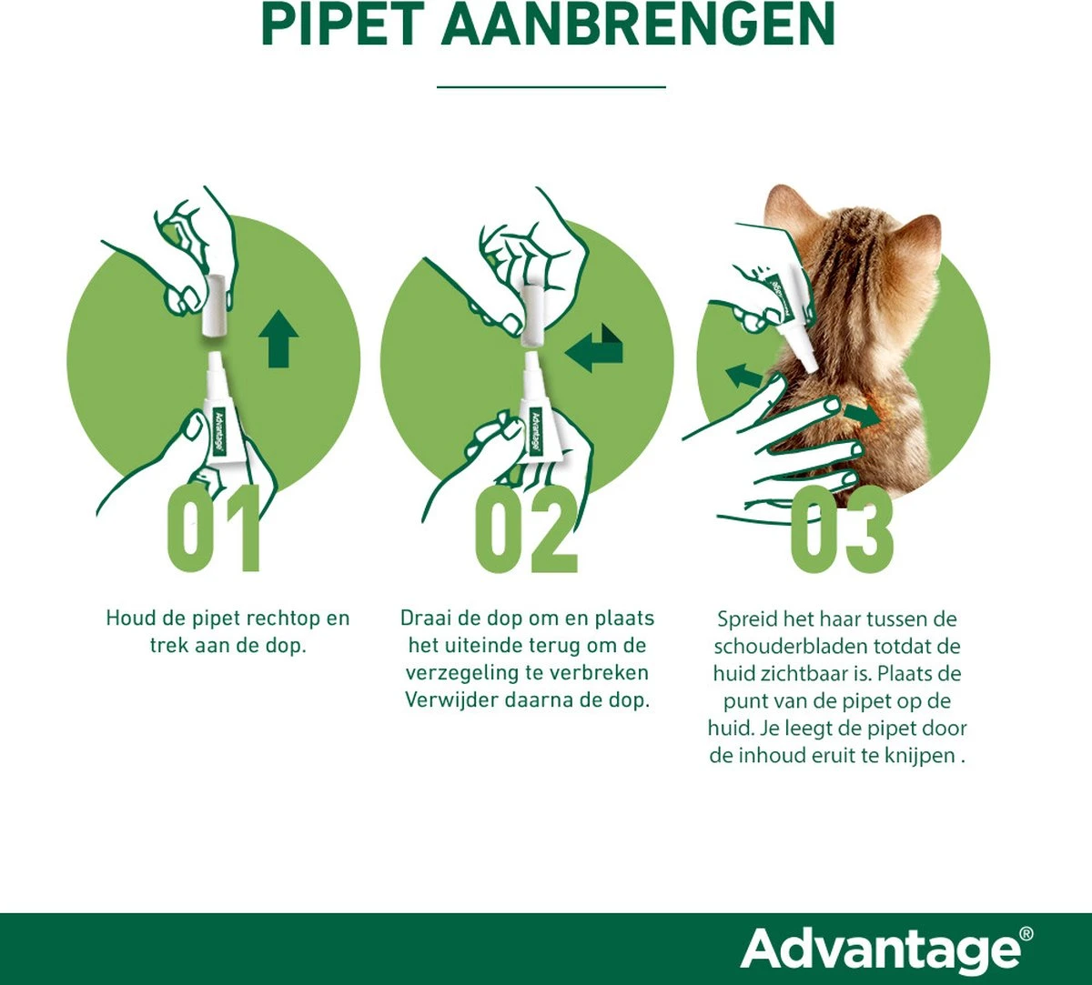 Bayer Advantage 250 Vlooiendruppels Hond 10-25 Kg - 4 Pipetten 7 Bayer Advantage 250 Vlooiendruppels Hond 10-25 Kg - 4 Pipetten - Afbeelding 5
