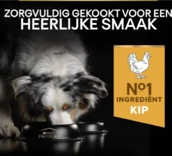 Pro Plan Medium Adult Everyay Nutrition - Honden Droogvoer - Kip - 14 Kg -Exporteren Alles Voor Honden Winkel 1200x1087