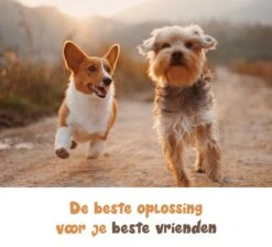 Dubbele Honden Riem – Leiband Hond – Hondenlijn – Looplijn Hond – 2 Honden – 3 Meter – Tot 12kg Per Hond – Reflecterende Lijnen – Met Zaklamp – 360° Draaien – Verstelbaar - Navy Blauw -Exporteren Alles Voor Honden Winkel 1200x1087 4