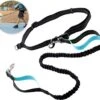 Hardloopriem Hond – Honden Riem Handsfree – Hardlopen Met Hond – 160-260 Cm Blauw - Hardloopband Hond – Halsband Hond – Hondenlijn – Leiband Hond 1 Hardloopriem Hond – Honden Riem Handsfree – Hardlopen Met Hond – 160-260 Cm Blauw - Hardloopband Hond – Halsband Hond – Hondenlijn – Leiband Hond -Exporteren Alles Voor Honden Winkel 1200x1087 5