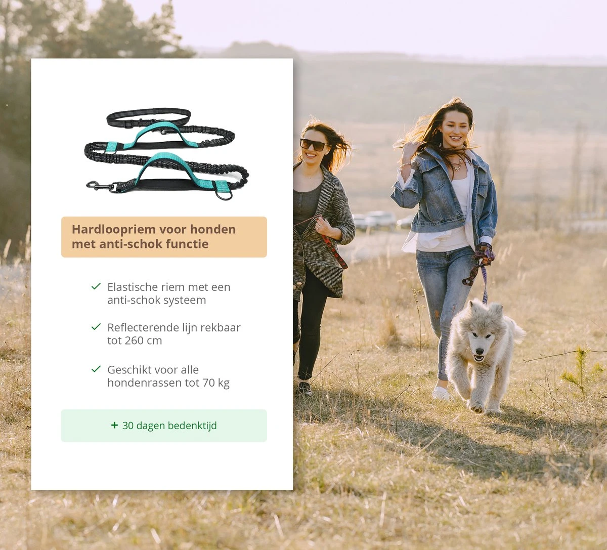 Hardloopriem Hond – Honden Riem Handsfree – Hardlopen Met Hond – 160-260 Cm Blauw - Hardloopband Hond – Halsband Hond – Hondenlijn – Leiband Hond 5 Hardloopriem Hond – Honden Riem Handsfree – Hardlopen Met Hond – 160-260 Cm Blauw - Hardloopband Hond – Halsband Hond – Hondenlijn – Leiband Hond - Afbeelding 3