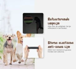 Hardloopriem Hond – Honden Riem Handsfree – Hardlopen Met Hond – 160-260 Cm Blauw - Hardloopband Hond – Halsband Hond – Hondenlijn – Leiband Hond 19 Hardloopriem Hond – Honden Riem Handsfree – Hardlopen Met Hond – 160-260 Cm Blauw - Hardloopband Hond – Halsband Hond – Hondenlijn – Leiband Hond -Exporteren Alles Voor Honden Winkel 1200x1087 8